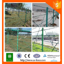 Alambre de púas de acero inoxidable / alambre de púas galvanizado por inmersión caliente precio por rollo